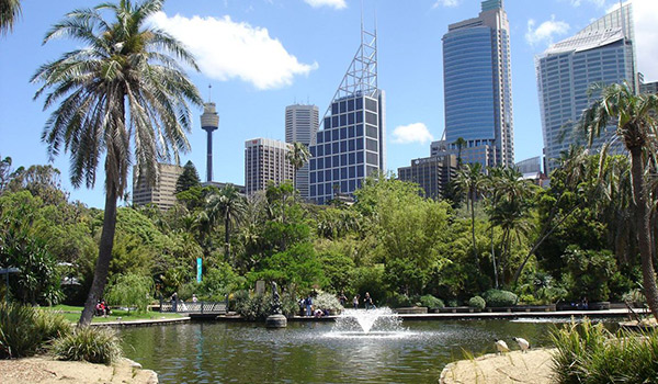 Сидней — деловой и финансовый центр Австралии, одно из наиболее популярных мест в мире, куда стремятся туристы со всех уголков мира