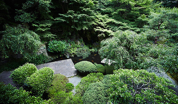 Hotel Hyatt Regency Kyoto