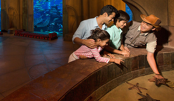 Atlantis The Palm