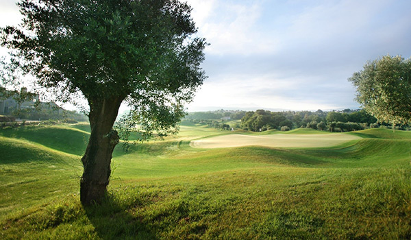 The Westin Resort, Costa Navarino