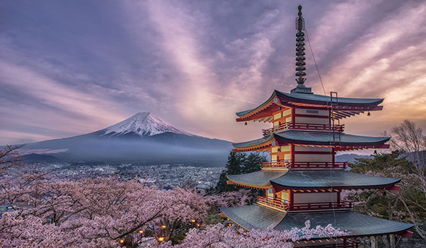 Групповой тур «Цветение сакуры в Японии»